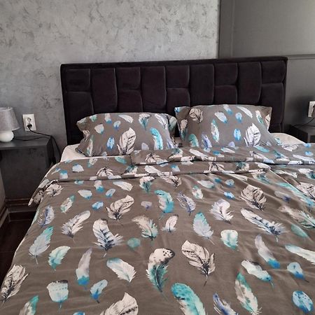 Stan Na Dan Dunja 2 Lejlighed Vrsac Eksteriør billede