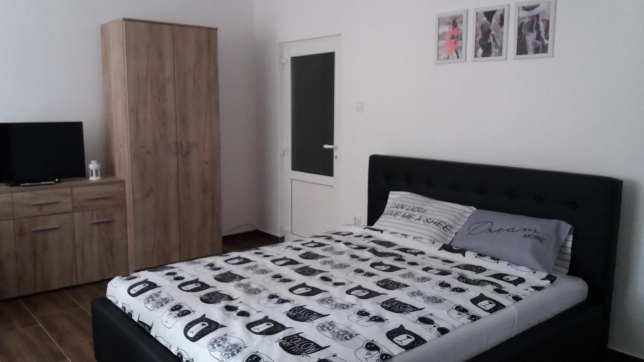 Stan Na Dan Dunja 2 Lejlighed Vrsac Eksteriør billede